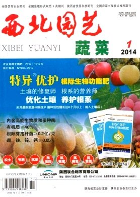 点击咨询>>