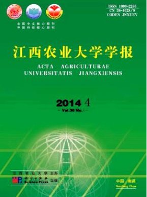 诗歌散文
