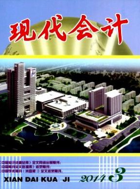这里的会计是一个大概念