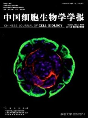 qy千亿体育登录平台出任意甲联赛官方
