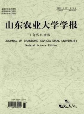 政治 法律 计算机 qy千亿体育登录