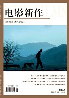 国内外公开发行