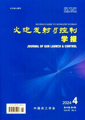 国内外公开发行
