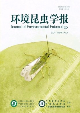 全学科定制