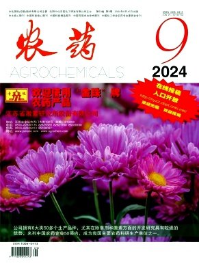 2007年正式更名为《国际城市规划》