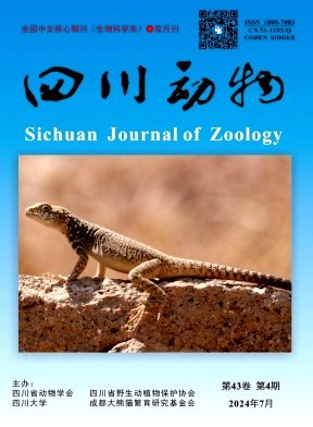 文献期刊的创办时间为1979年