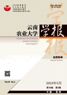 1970年创刊