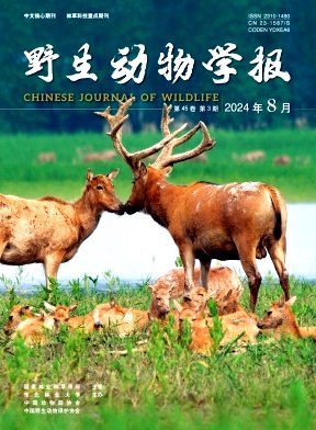 国内外qy千亿体育登录平台新人权益