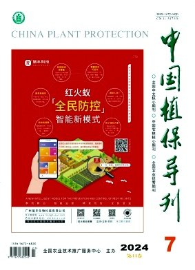 勇于创新