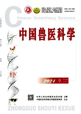 主管单位