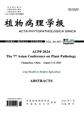 铜版纸彩色印刷